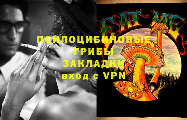 бошки Медногорск