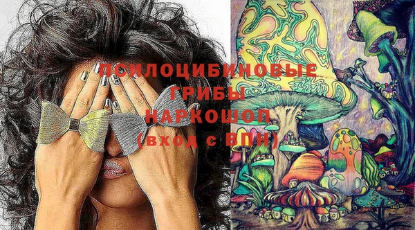 спайс Медвежьегорск