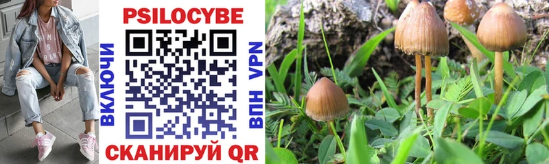 Псилоцибиновые грибы Cubensis  мега ONION  Лахденпохья  магазин продажи наркотиков 